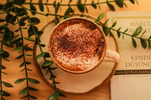 Chaussures homme : style, confort et choix pour toutes les occasions